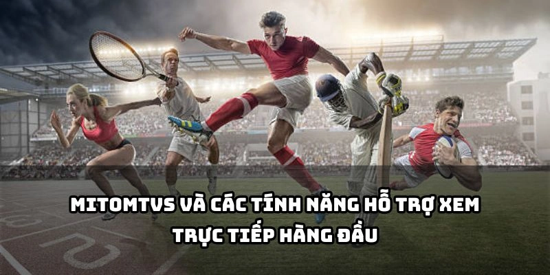 Xem bóng đá mượt mà với bình luận Tiếng Việt, đa nền tảng, tùy chọn chất lượng hình ảnh tại mitom tv