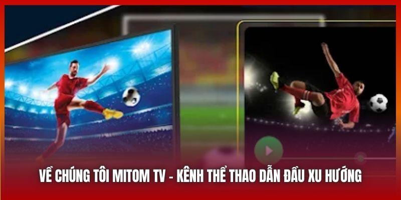 Thông tin về chúng tôi Mitomtvs