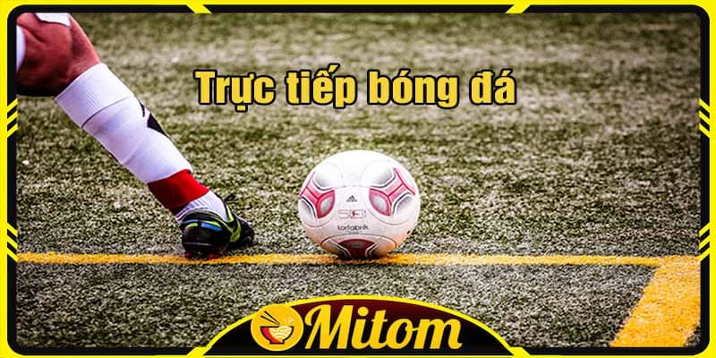 Bản quyền mitomtvs