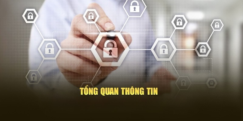 Tổng quan về chính sách bảo mật mitomtvs.