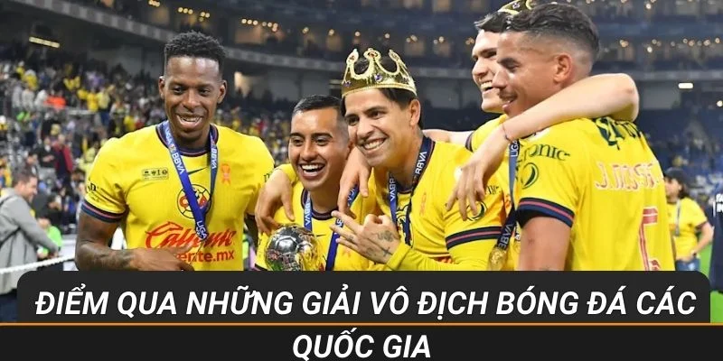 Tổng hợp những giải vô địch bóng đá các quốc gia