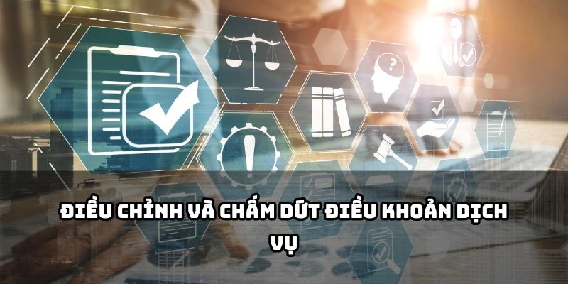 Cập nhật điều khoản và quyền lợi của bạn tại MitomTVS