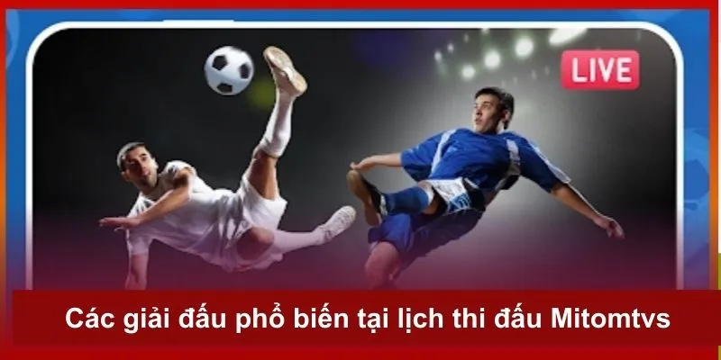Các giải đấu nổi tiếng được cập nhật tin tức mới nhất