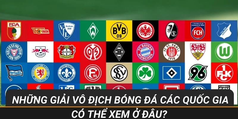 Những giải vô địch bóng đá các quốc gia có thể xem ở đâu?